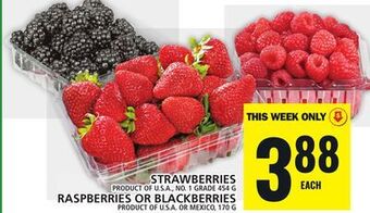 Food Basics Strawberries or raspberries or blackberries offer