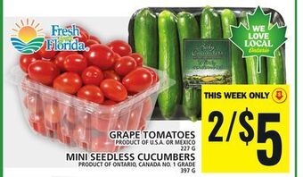 Food Basics Grape tomatoes offer