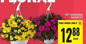 Food Basics 10 hanging baskets offer