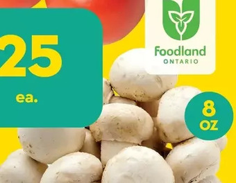 Giant Tiger 8 oz whole white mushrooms offer