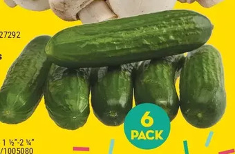 Giant Tiger 6 pack mini cucumbers offer