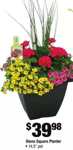 Home Depot Siena square planter offer