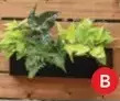 RONA 24 planters offer