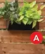 RONA 15 planters offer