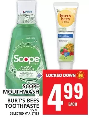 Food Basics Scope mouthwash | burt's bees toothpaste offer