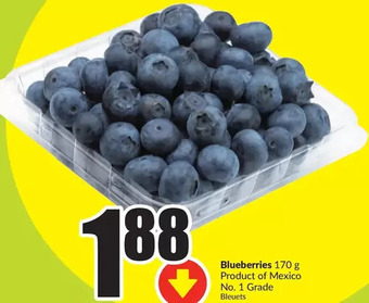FreshCo Blueberries offer