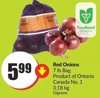 FreshCo Red onions offer