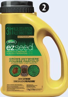 Canadian Tire Scotts turf builder ez seed, 1.7kg offer