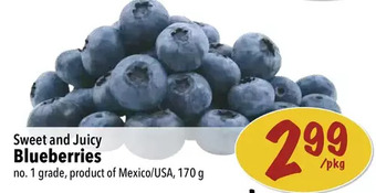 Farm Boy Blueberries offer