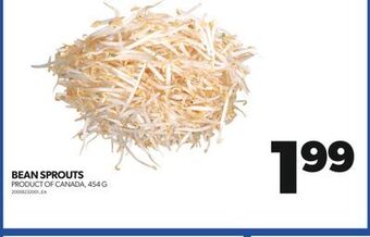 Real Canadian Superstore Bean sprouts, 454 g offer