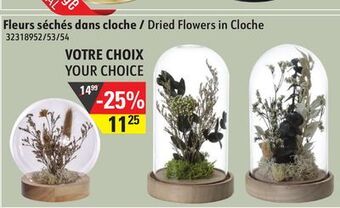 Sushi Shop Dried flowers in cloche offer