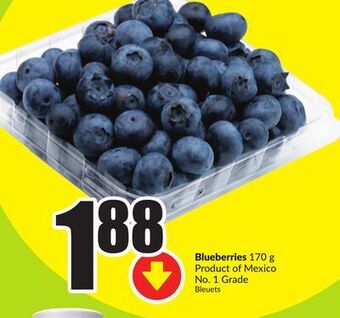 FreshCo Blueberries 170 g product of mexico no.1 grade offer