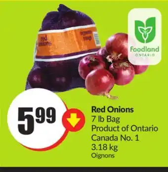 FreshCo Red onions 7 lb bag product of ontario canada no. 1 3.18 kg offer