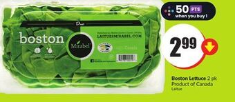 FreshCo Boston lettuce 2 pk product of canada offer