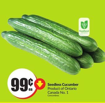 Chalo FreshCo Seedless cucumber product of ontario canada no. 1 offer