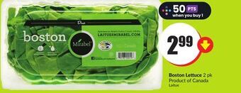 Chalo FreshCo Boston lettuce 2 pk product of canada offer