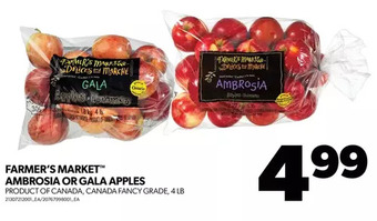 Real Canadian Superstore Farmer's market ambrosia or gala apples offer