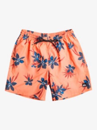 Quiksilver Everyday mix 17 volleys offer