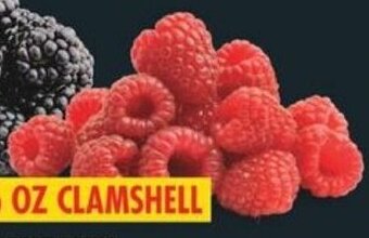 No Frills RASPBERRIES 6 OZ CLAMSHELL offer