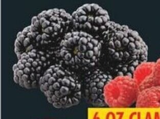 No Frills BLACKBERRIES 6 OZ CLAMSHELL offer