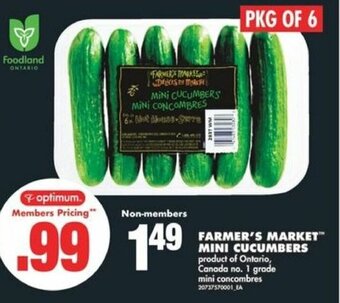 No Frills FARMER'S MARKET MINI CUCUMBERS PKG OF 6 offer