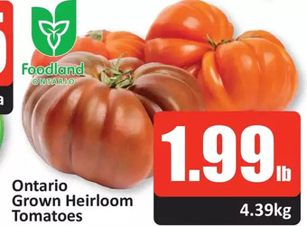 Starsky Ontario grown heirloom tomatoes offer