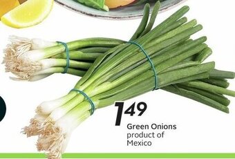 Sobeys Green Onions offer