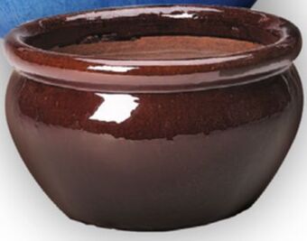London Drugs Collection by london drugs outdoor low pot medium offer