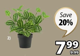 JYSK Udde artificial splatter leaf offer