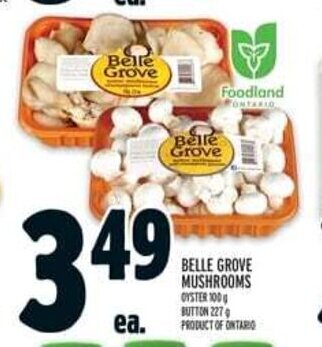 Metro BELLE GROVE MUSHROOMS OYSTER 100 g offer