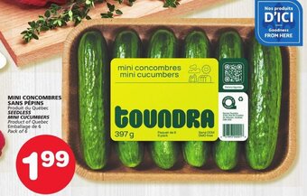 IGA Seedless MINI CUCUMBERS Pack of 6 offer
