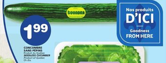 IGA SEEDLESS CUCUMBER offer