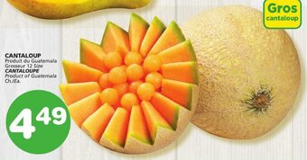 IGA CANTALOUPE offer