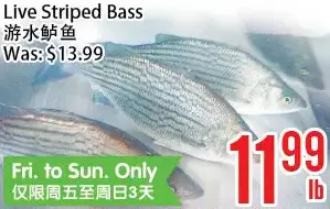 Bestco Food Mart Live striped bass offer