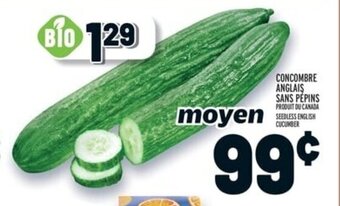 Metro CONCOMBRE ANGLAIS SANS PEPINS offer