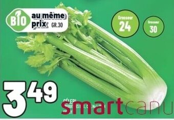 Metro CELERI offer