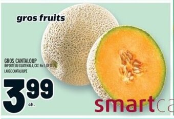 Metro GROS CANTALOUP offer