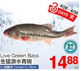 T&T Supermarket Live Green Bass offer