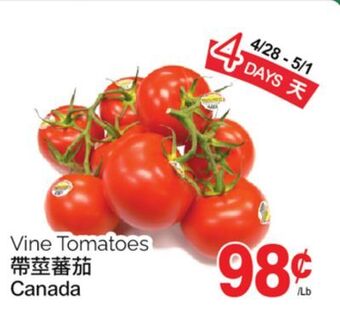 T&T Supermarket Vine tomatoes offer