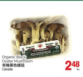 T&T Supermarket Organic black oyster mushroom offer