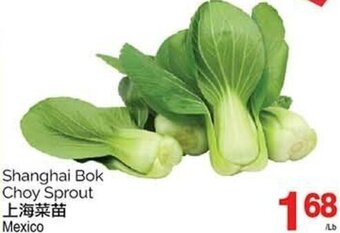 T&T Supermarket Shanghai Bok Choy Sprout offer