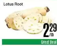 Nations Fresh Foods Lotus root offer