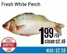 Nations Fresh Foods Fresh white perch offer