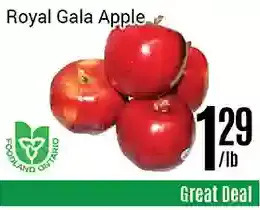 Nations Fresh Foods Royal gala apple offer