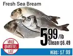 Nations Fresh Foods Fresh sea bream offer