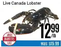 Nations Fresh Foods Live canada lobster offer