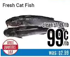 Nations Fresh Foods Fresh cat fish offer