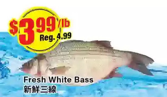 Btrust Supermarket Fresh white bass offer