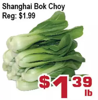 Shanghai bok choy