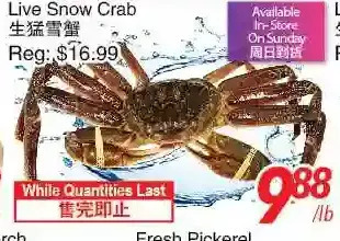 Foody World Live snow crab offer